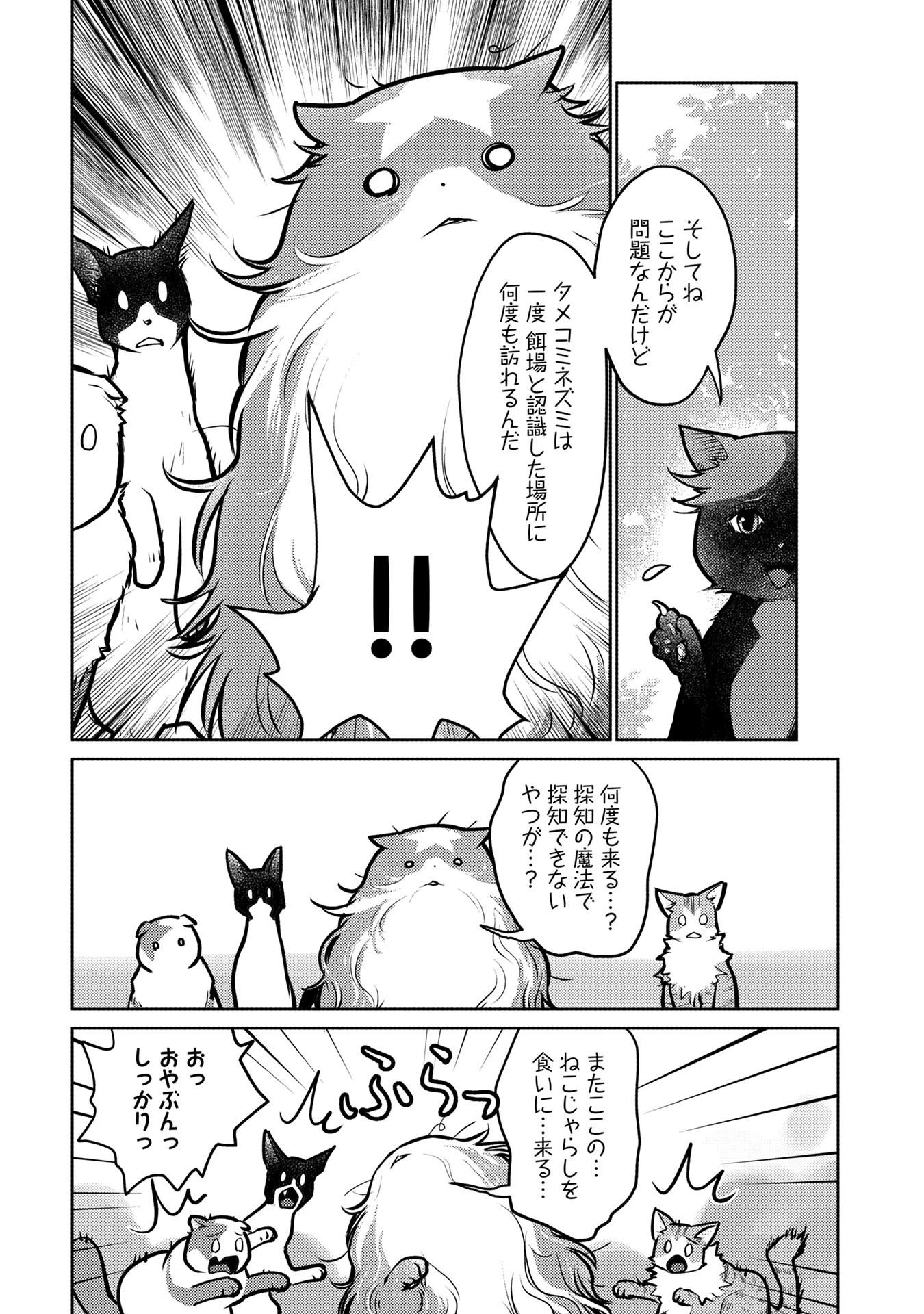 猫と竜 第40話 - 9