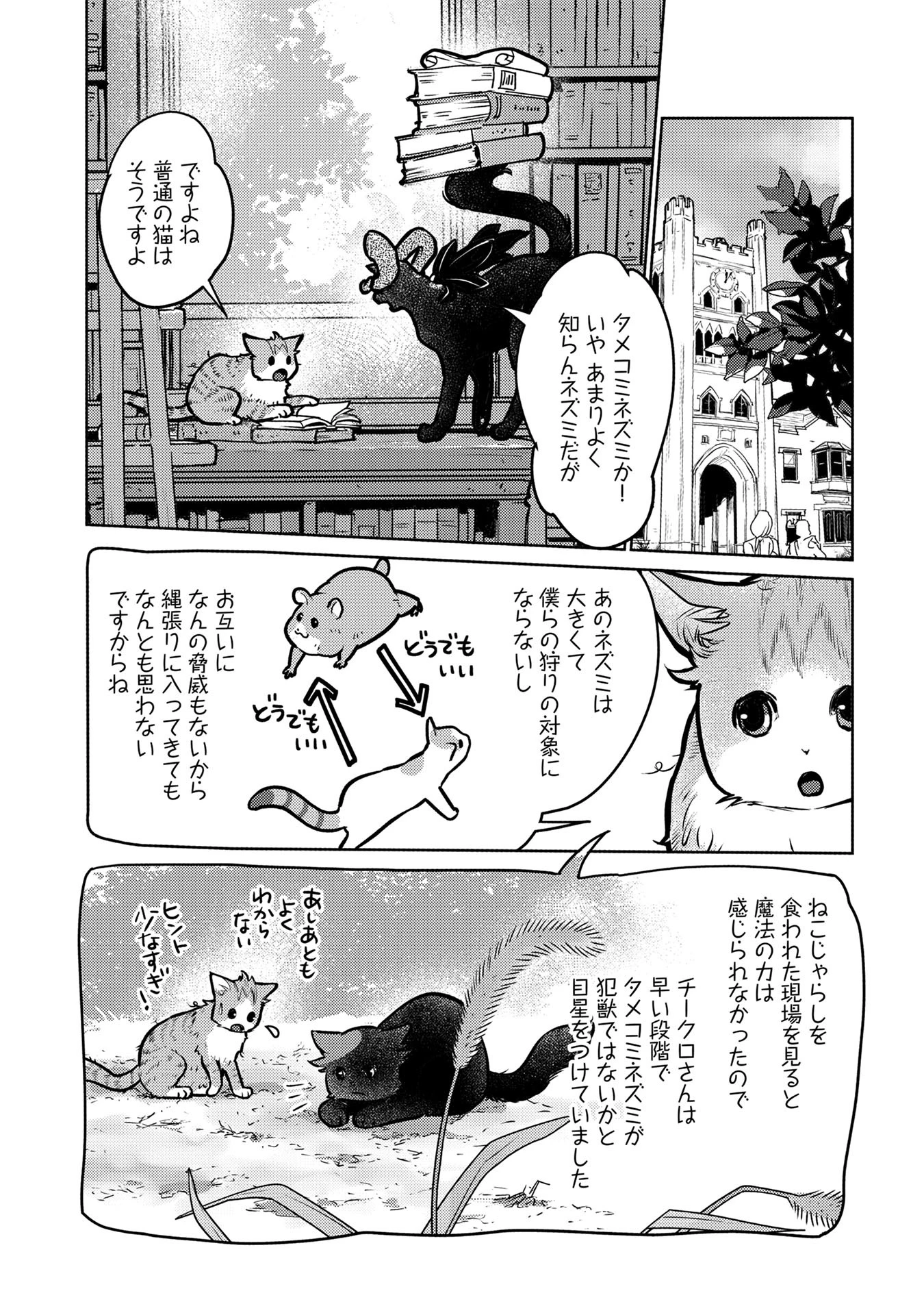 猫と竜 第40話 - 10