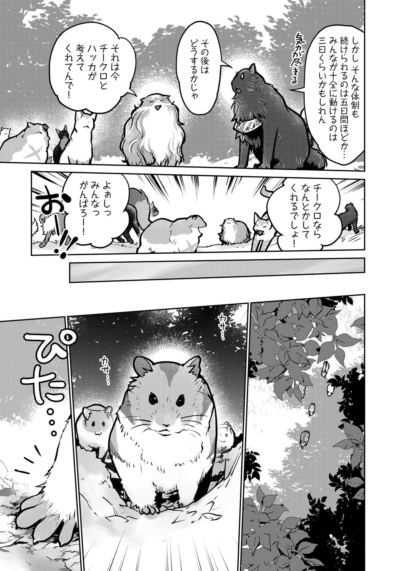 猫と竜 第40話 - 21