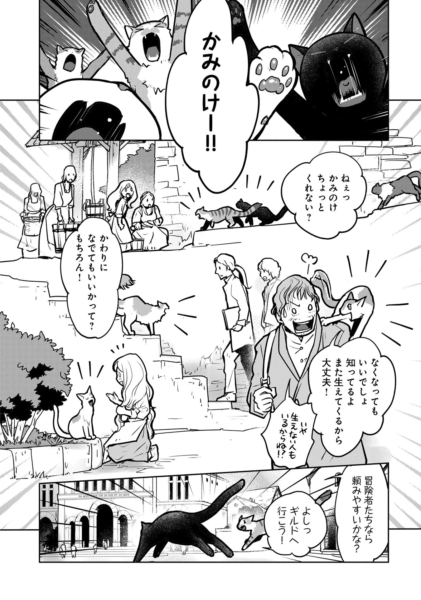 猫と竜 第40話 - 28