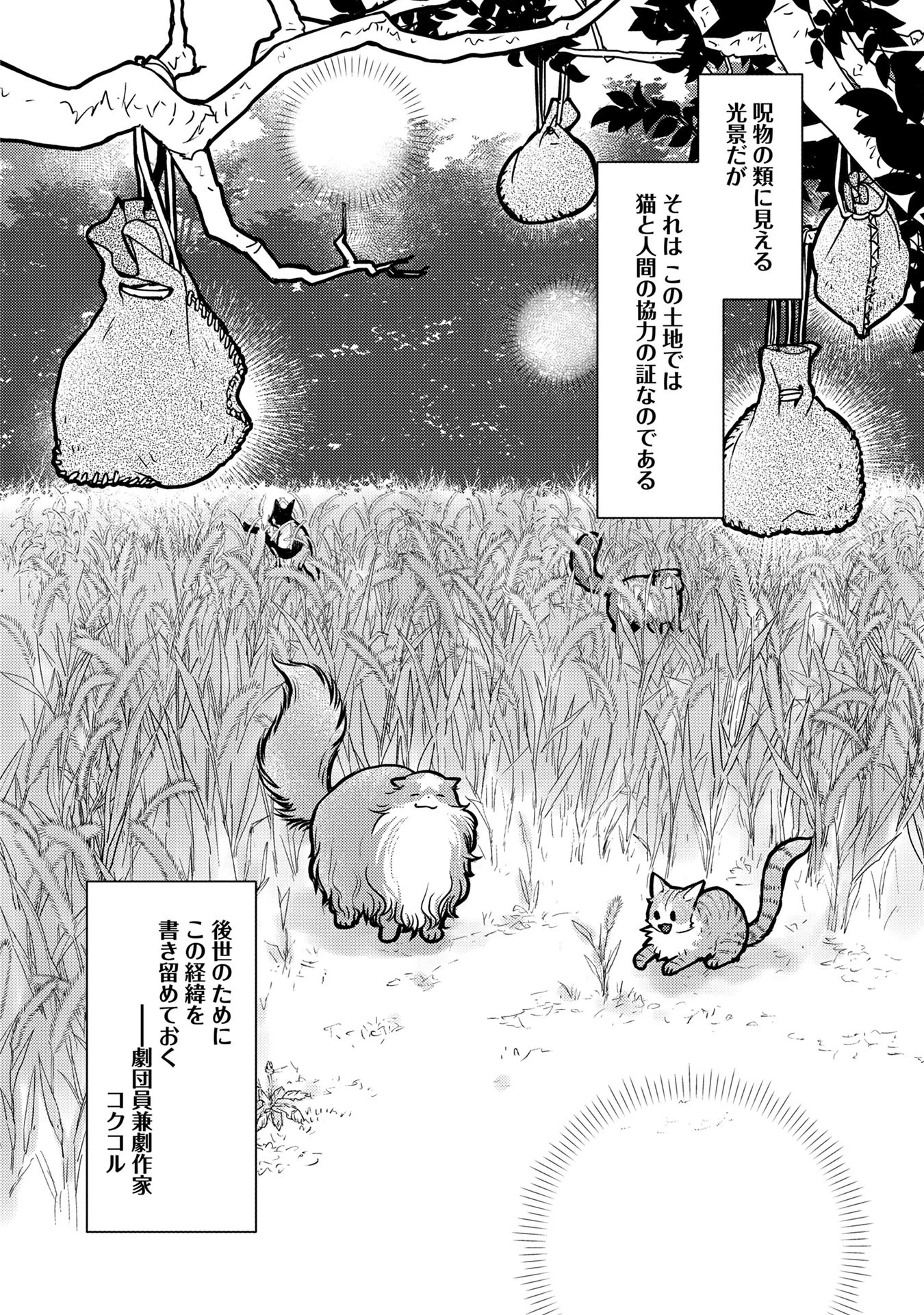 猫と竜 第40話 - 36