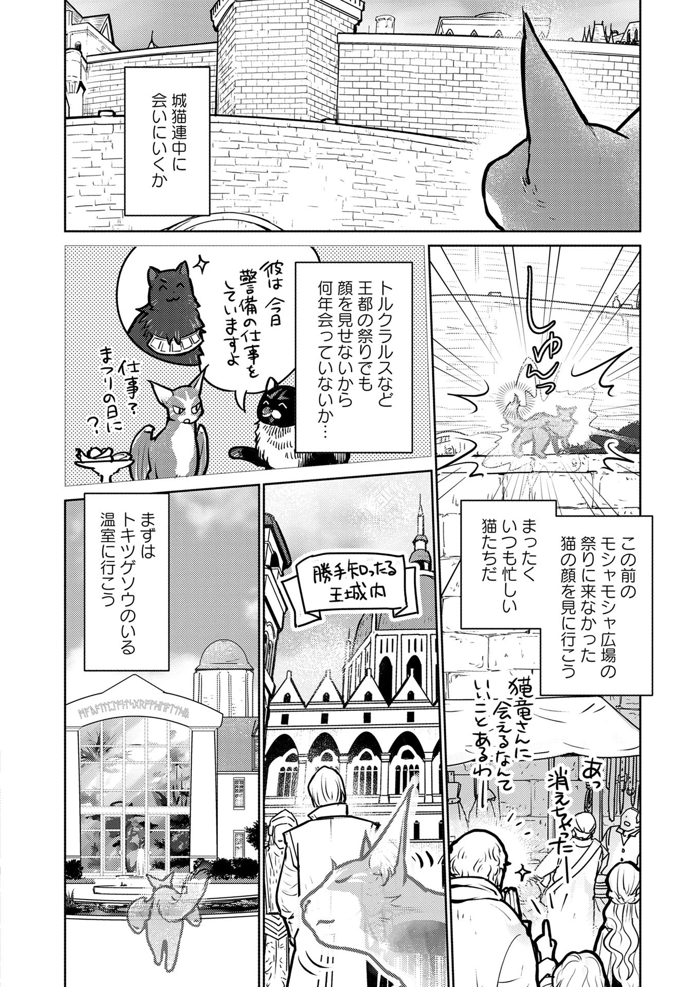 猫と竜 第39話 - 4