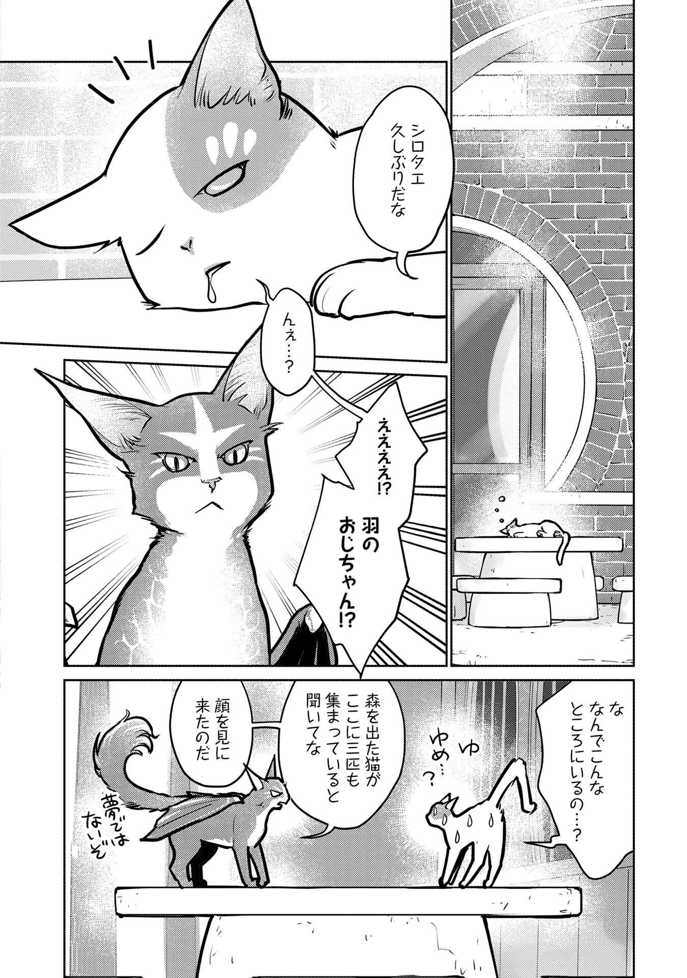 猫と竜 第39話 - 22