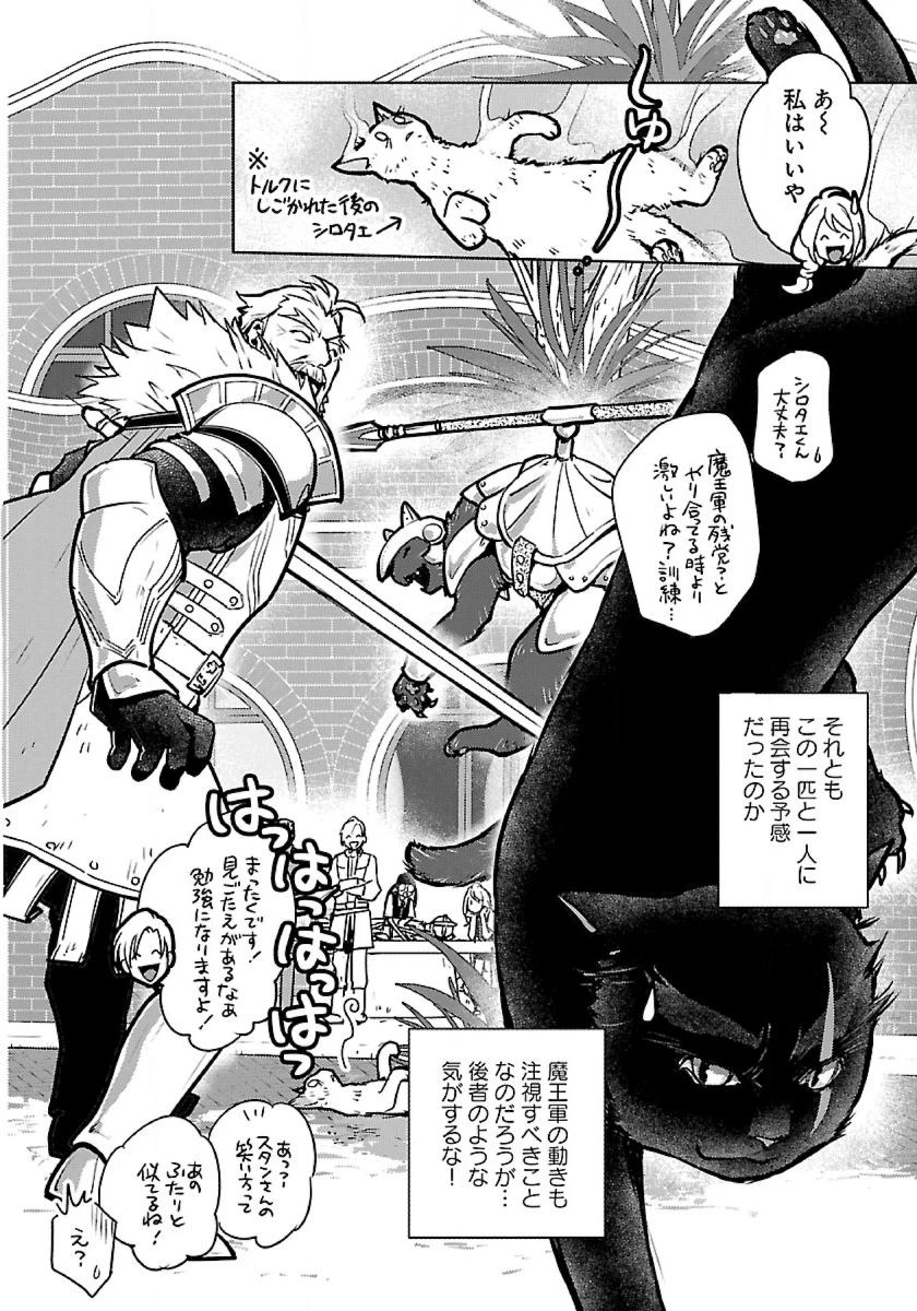 猫と竜 第38話 - 38