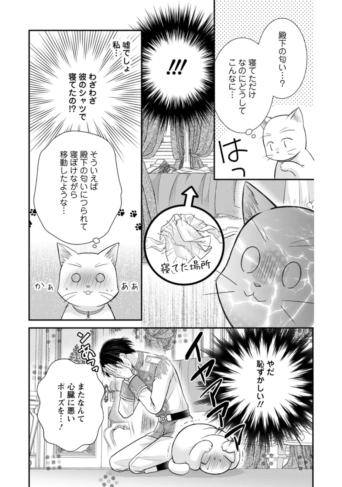 呪いで猫にされた悪女、王太子に拾われる。 第13.2話 - 4