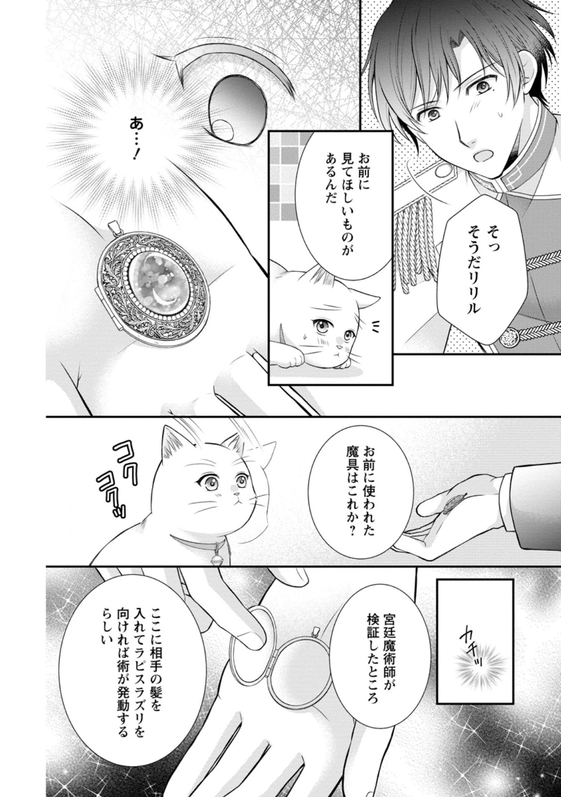 呪いで猫にされた悪女、王太子に拾われる。 第13.2話 - 5