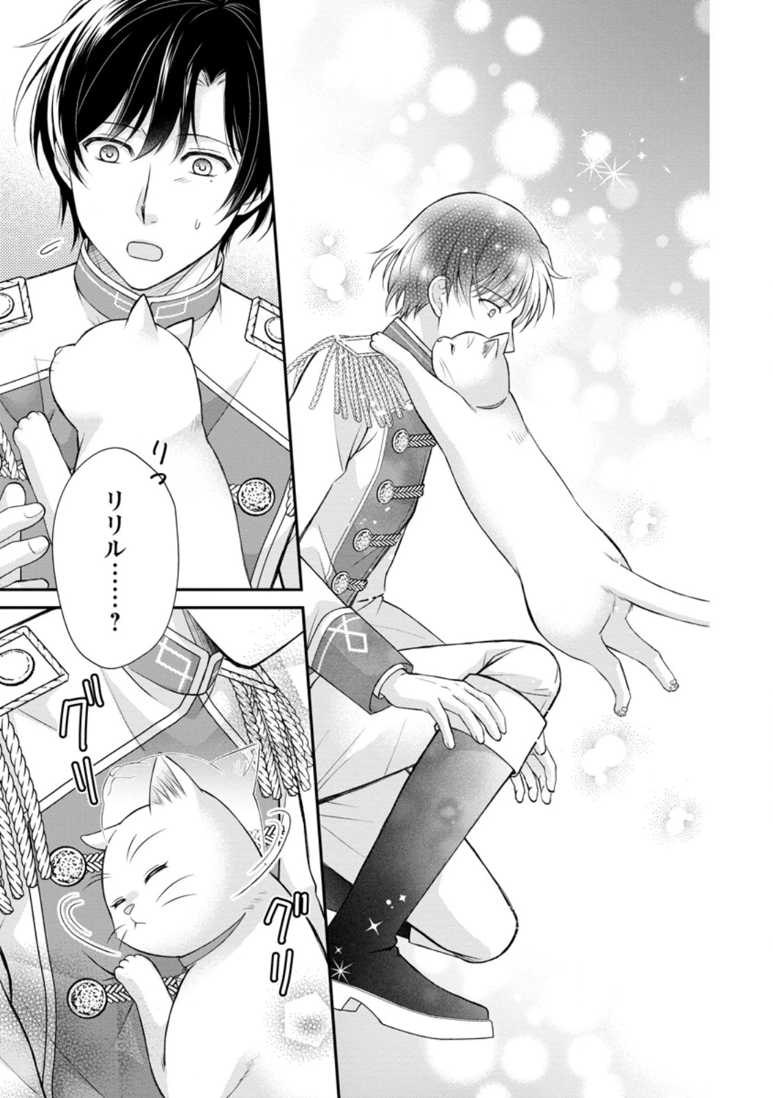 呪いで猫にされた悪女、王太子に拾われる。 第13.2話 - 10