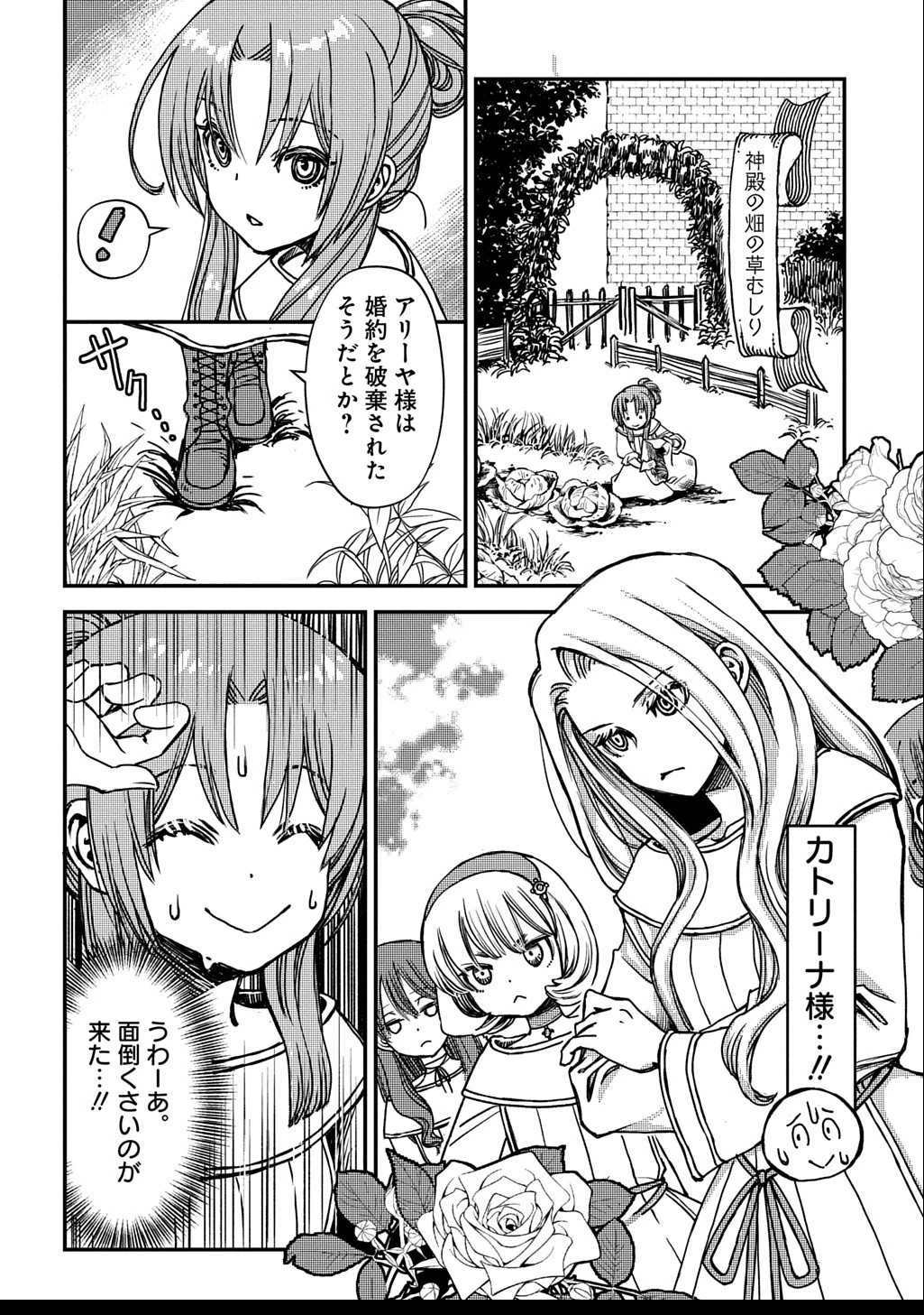 婚約破棄されました 本気出していいですよね THE COMIC 第4話 - 6