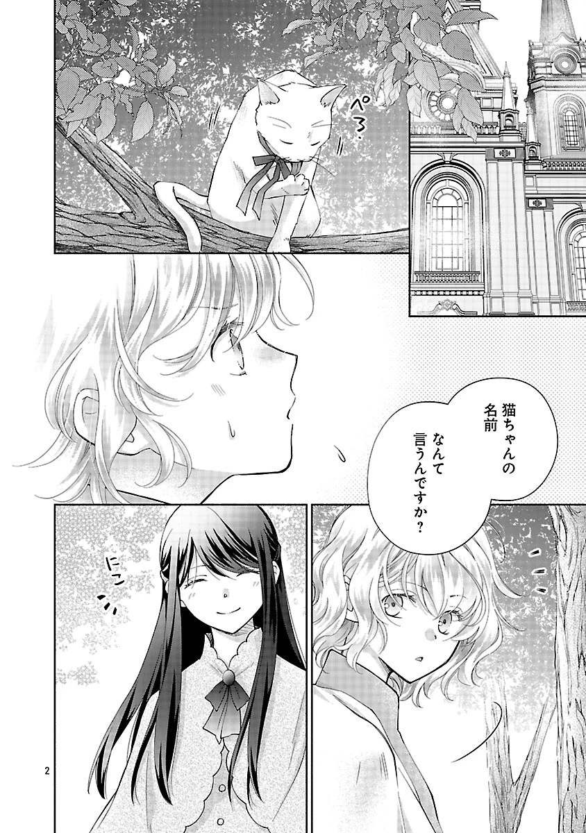 白い結婚から三年。旦那様、私と離縁してください 第13話 - 4