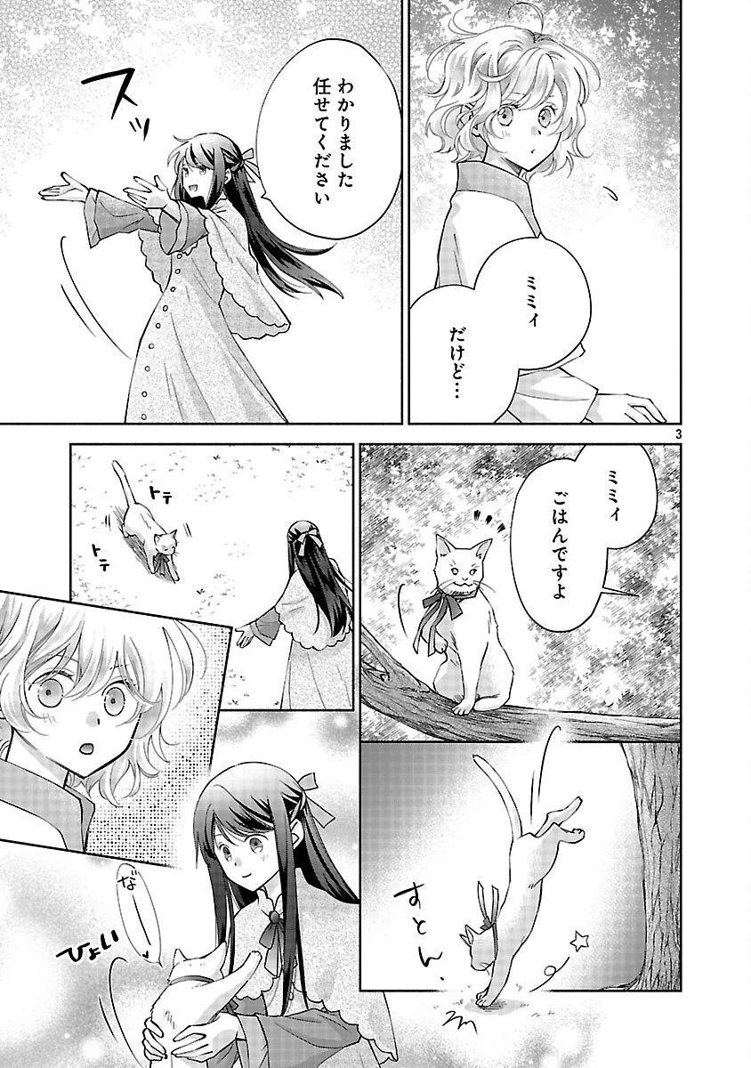 白い結婚から三年。旦那様、私と離縁してください 第13話 - 5