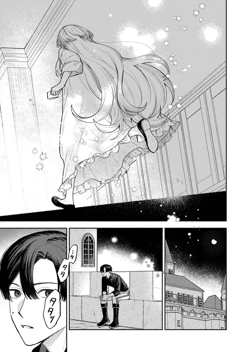 前世冷徹王子の馬でした ～人になっても貴方を愛していいですか？～ 第12.2話 - 10