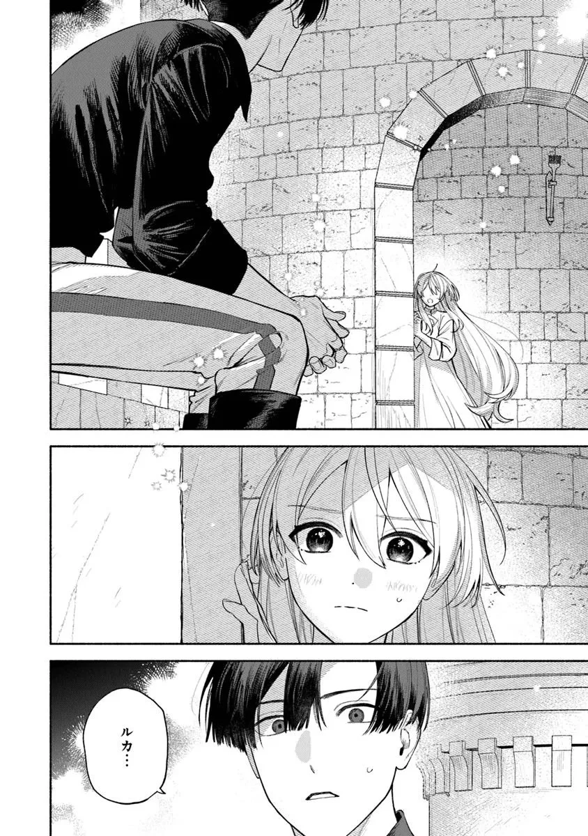 前世冷徹王子の馬でした ～人になっても貴方を愛していいですか？～ 第12.2話 - 11