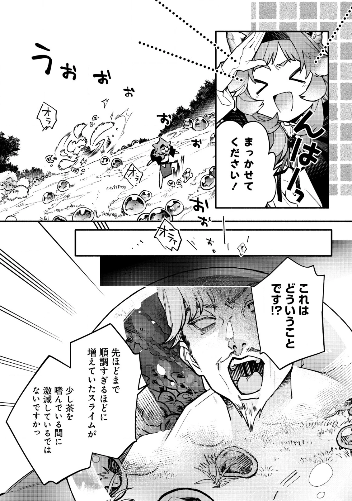 猫魔法が世界に革命を起こすそうですよ？ 第11話 - 13