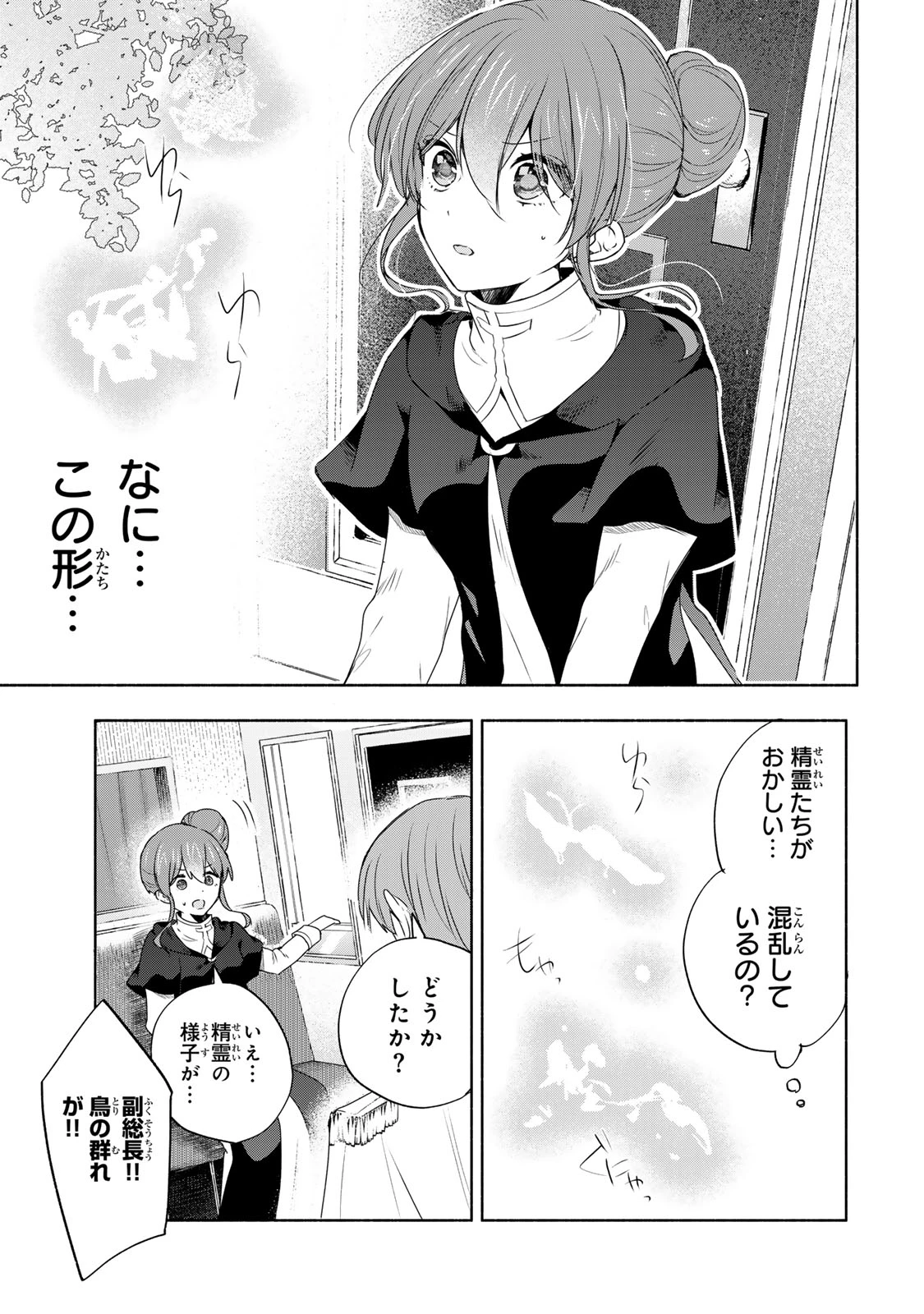 聖女様をお探しでしたら妹で間違いありません。さあどうぞお連れください、今すぐ。 第19.2話 - 5