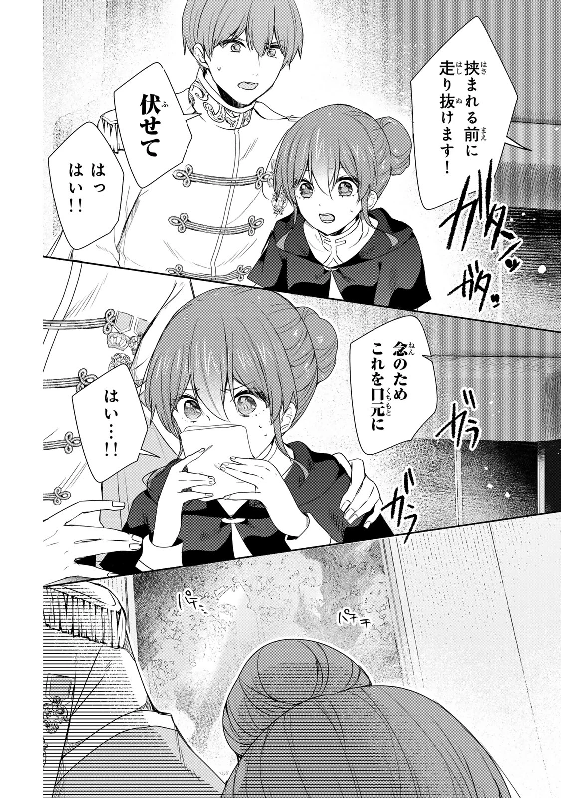 聖女様をお探しでしたら妹で間違いありません。さあどうぞお連れください、今すぐ。 第19.2話 - 12