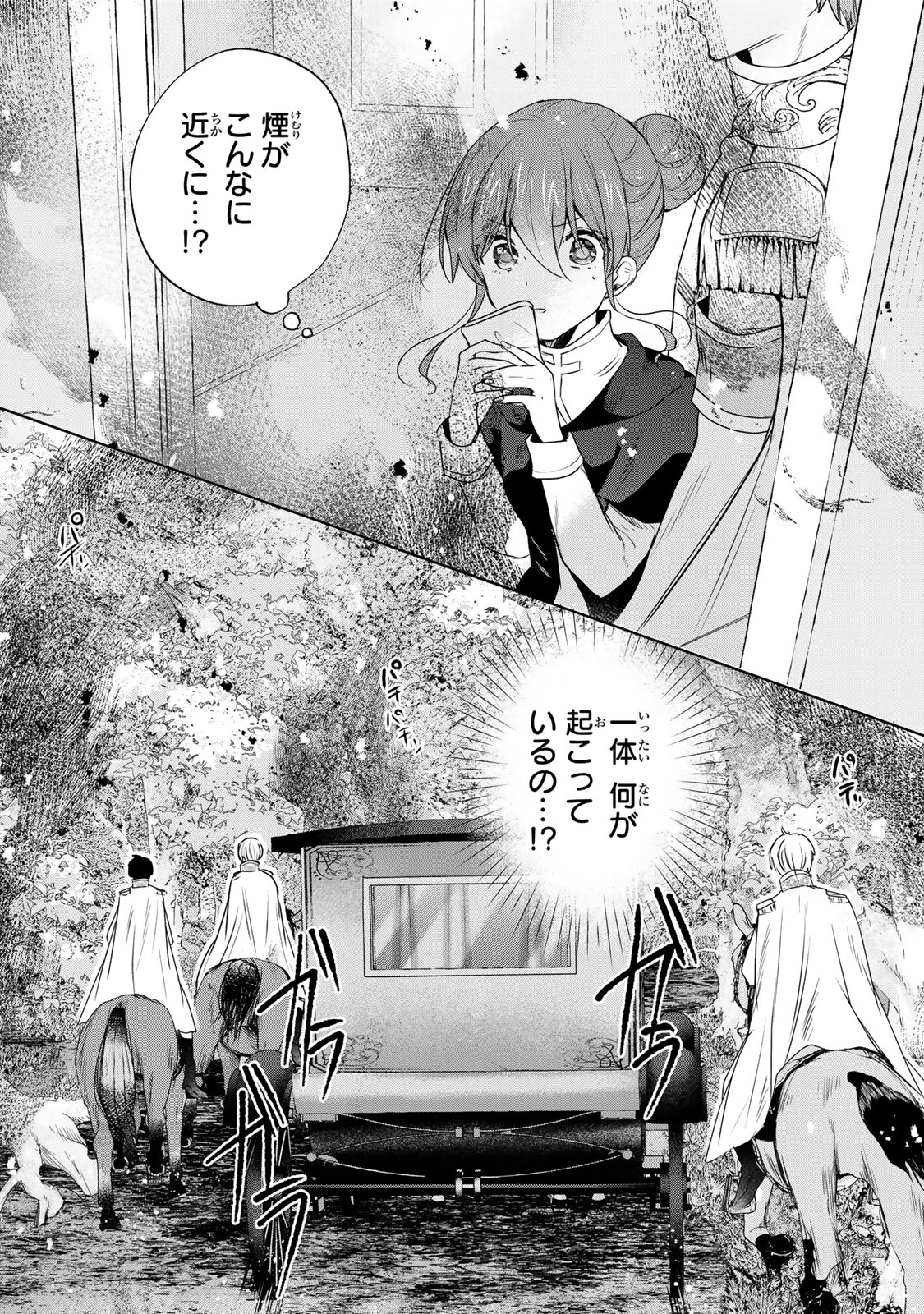 聖女様をお探しでしたら妹で間違いありません。さあどうぞお連れください、今すぐ。 第19.2話 - 13