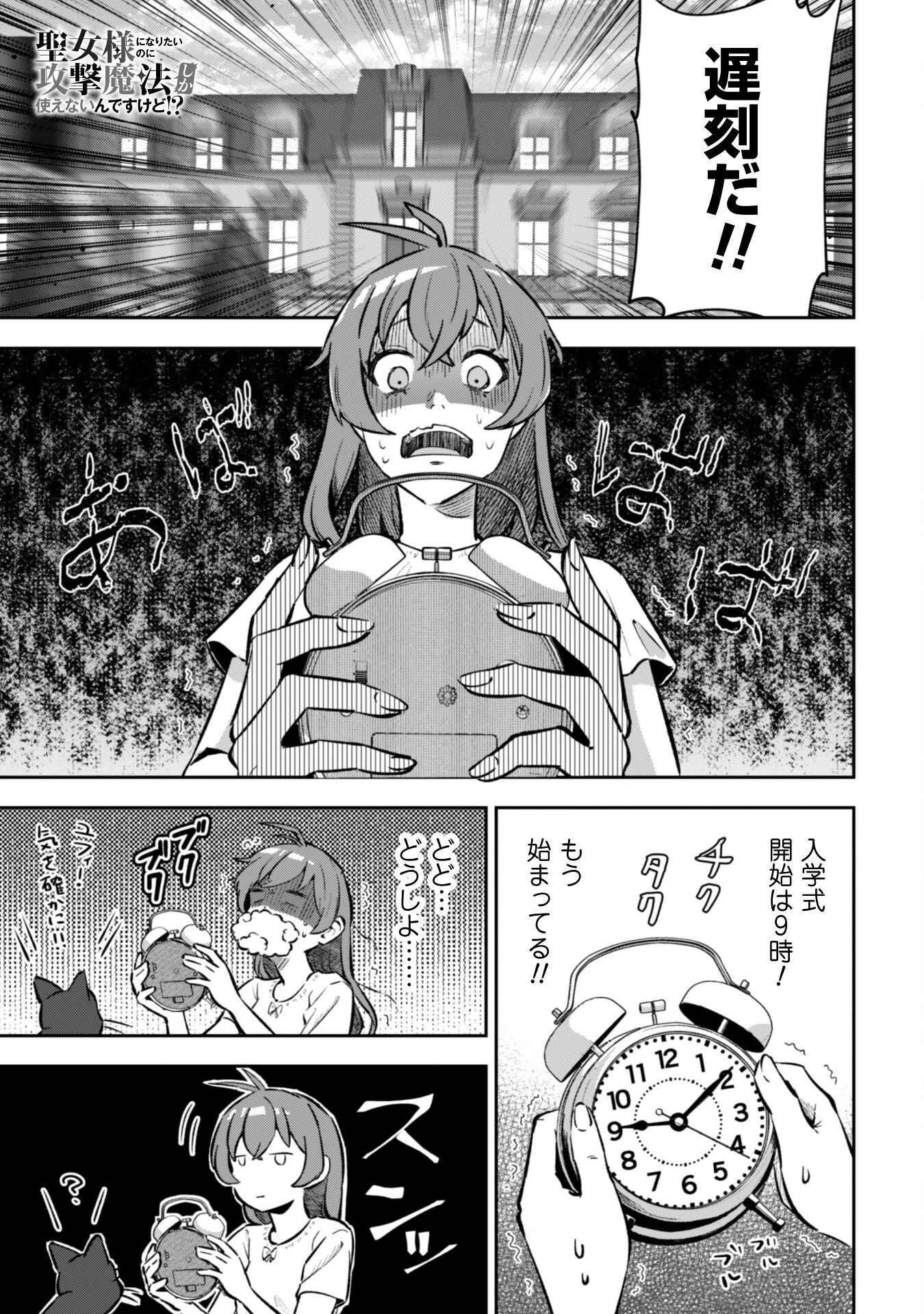 聖女様になりたいのに攻撃魔法しか使えないんですけど！？ 第3話 - 2