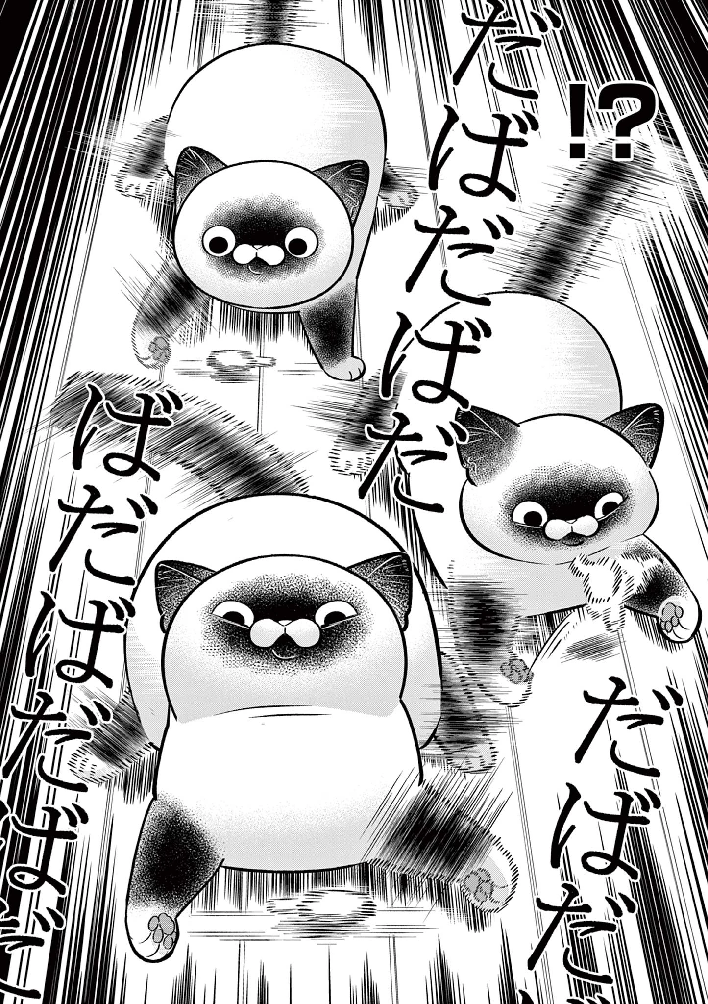 オヤジとにゃん吉 第49話 - 6