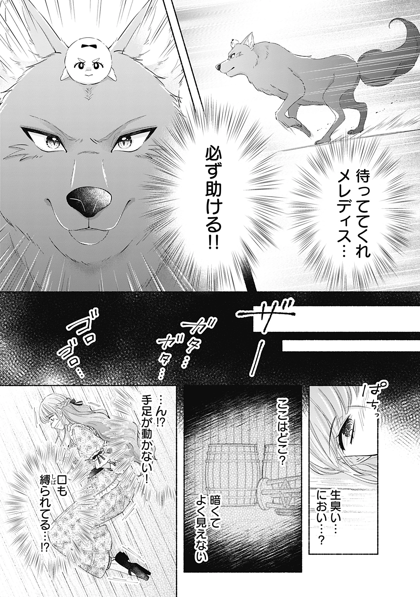 薬草令嬢ともふもふの旦那様 第10話 - 17