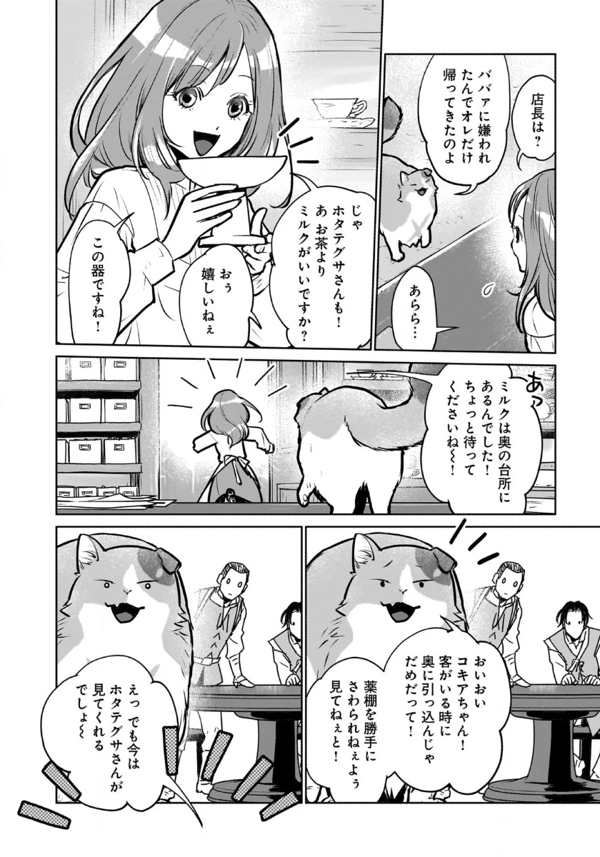 猫と竜 第42話 - 33