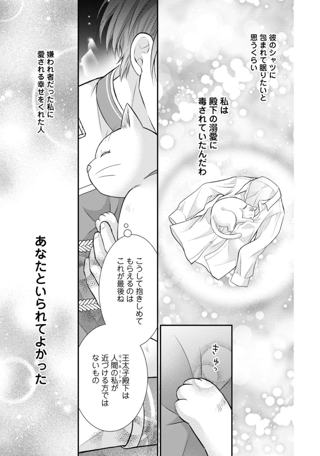 呪いで猫にされた悪女、王太子に拾われる。 第13.3話 - 1