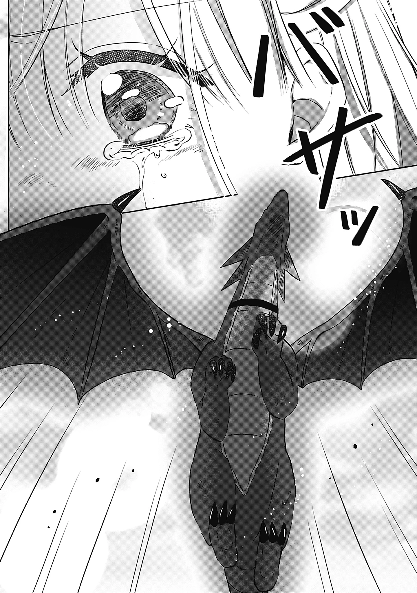 籠のなかの竜聖女 -虐げられた伯爵令嬢は、今日も溺愛されています- 第10話 - 3