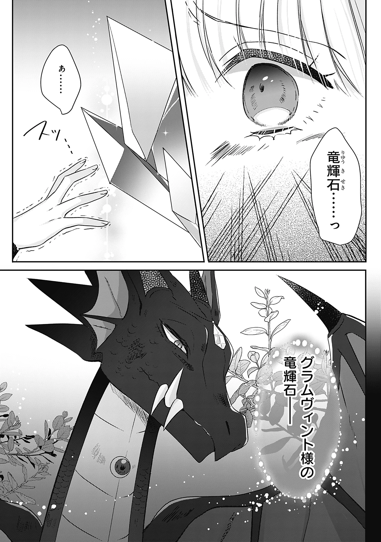 籠のなかの竜聖女 -虐げられた伯爵令嬢は、今日も溺愛されています- 第10話 - 7