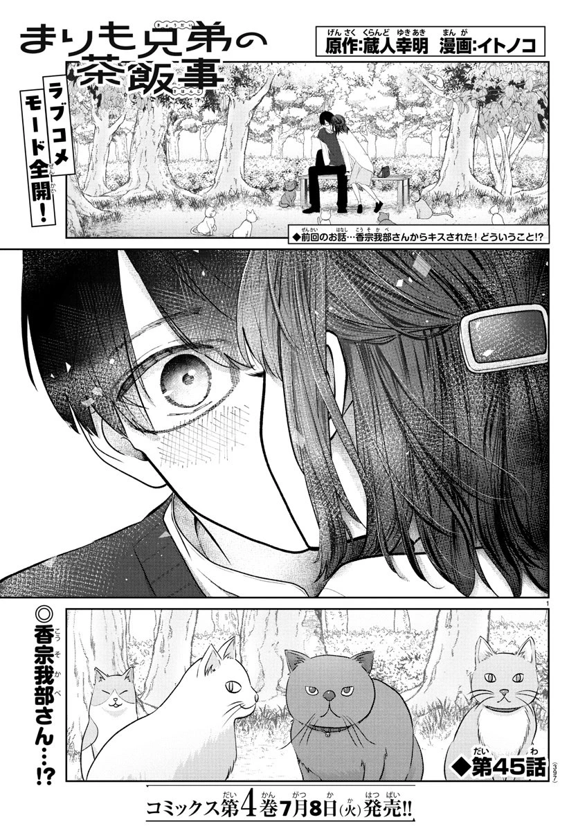 まりも兄弟の茶飯事 第45話 - 1