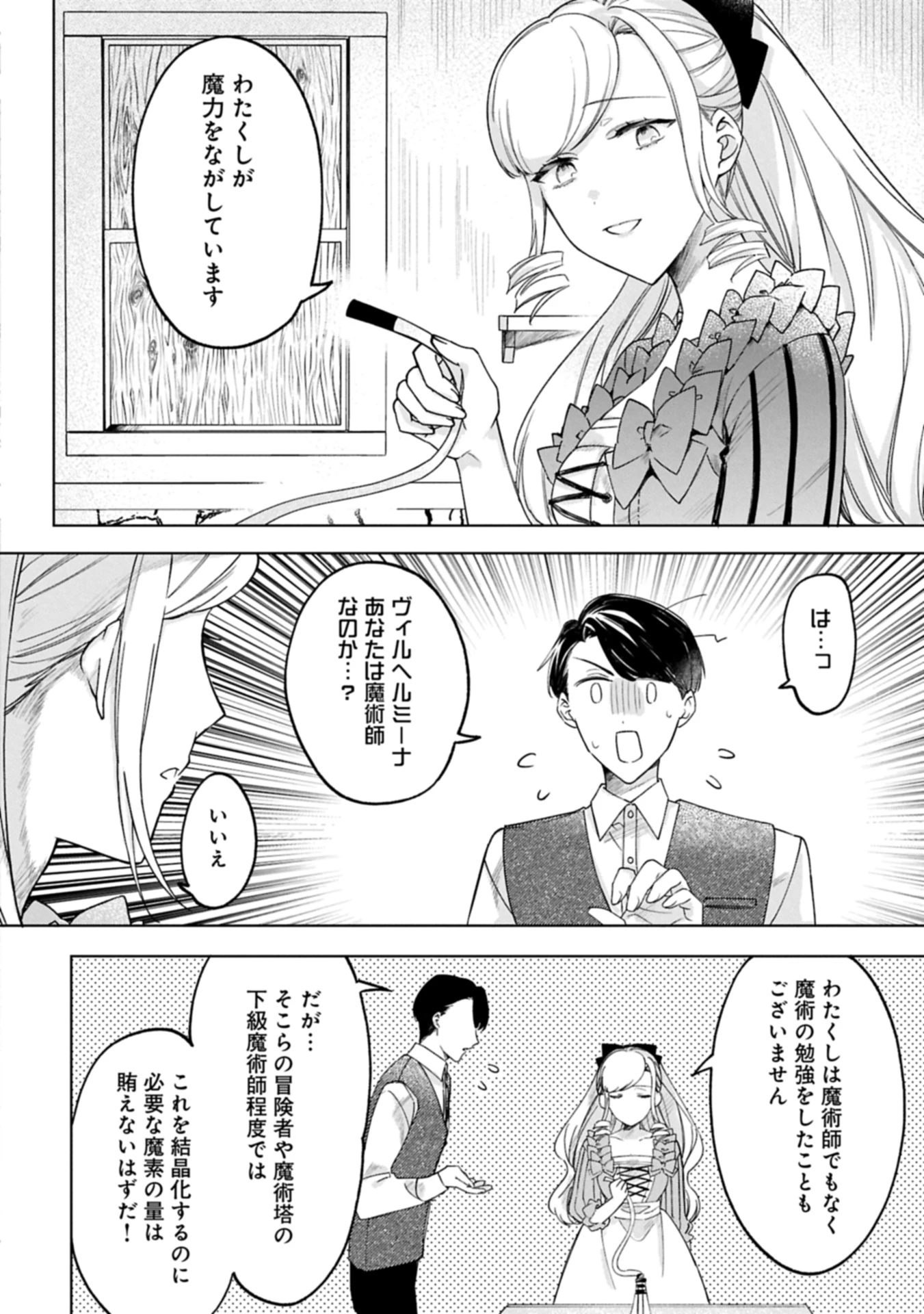 追放された公爵令嬢、ヴィルヘルミーナが幸せになるまで。～最強の平民、世界に革命を起こす～ 第9話 - 4