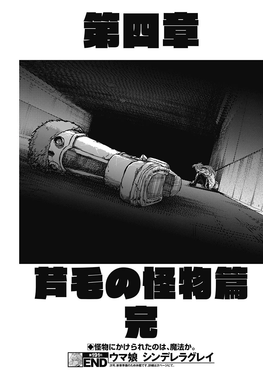 ウマ娘シンデレラグレイ 第191話 - 19