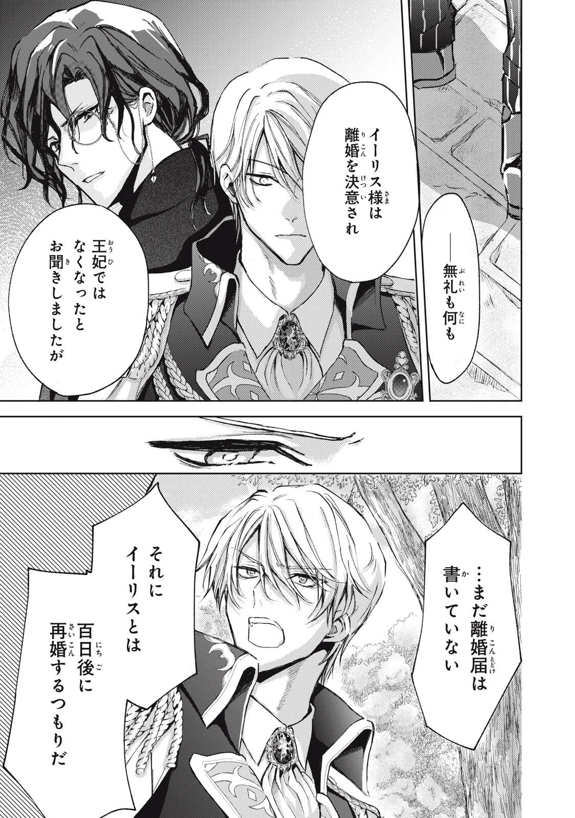 王妃様は離婚したい～異世界から聖女様が来たので、もうお役御免ですわね？～ 第20.3話 - 1