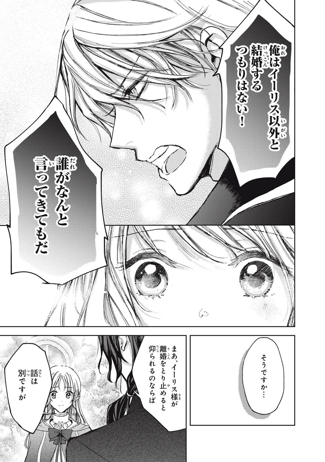 王妃様は離婚したい～異世界から聖女様が来たので、もうお役御免ですわね？～ 第20.3話 - 7