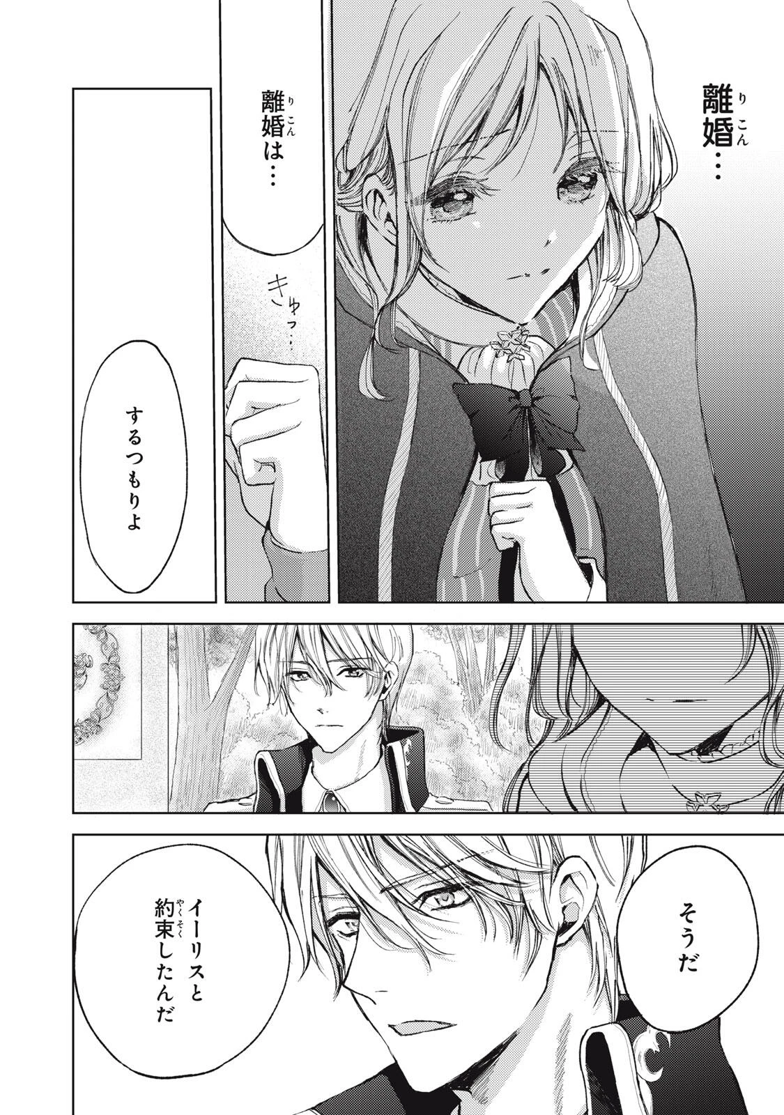 王妃様は離婚したい～異世界から聖女様が来たので、もうお役御免ですわね？～ 第20.3話 - 8