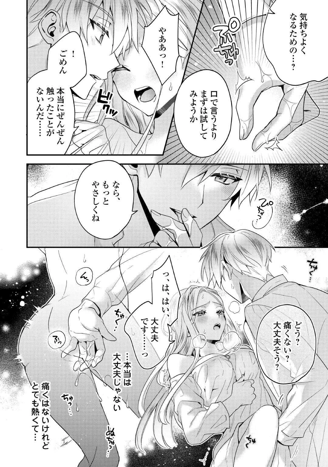 重婚なんてお断り! 絶対に双子の王子を見分けてみせます! 第6話 - 12