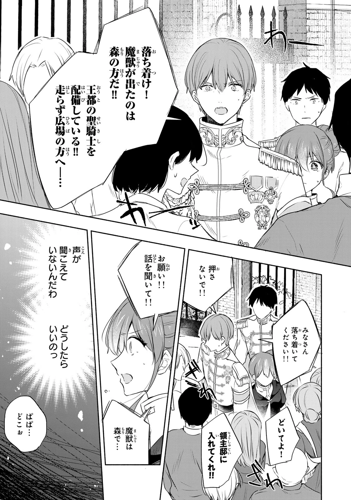 聖女様をお探しでしたら妹で間違いありません。さあどうぞお連れください、今すぐ。 第20話 - 7