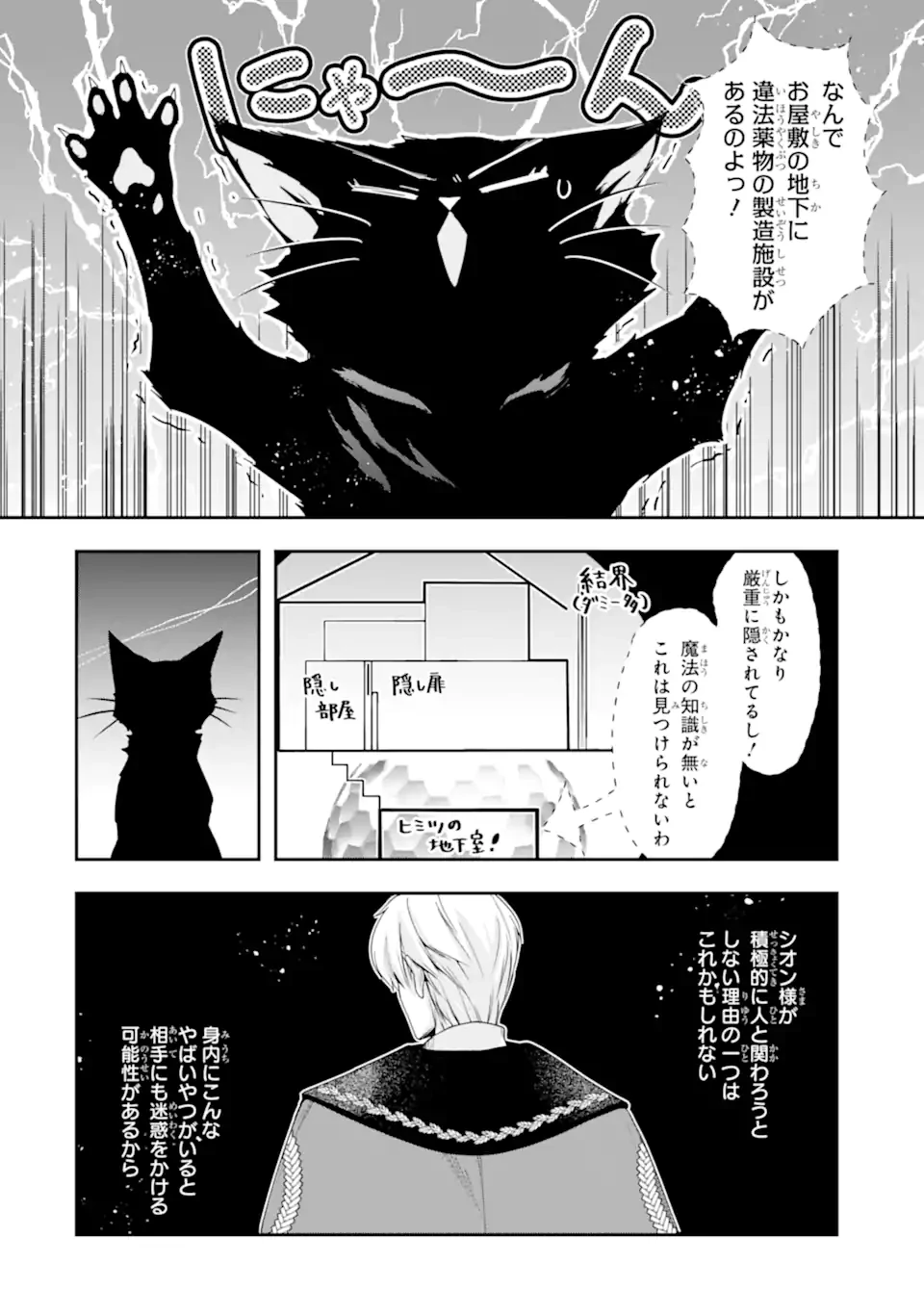 「君を愛することはない」と言った氷の魔術師様の片思い相手が、変装した私だった 第12.1話 - 2