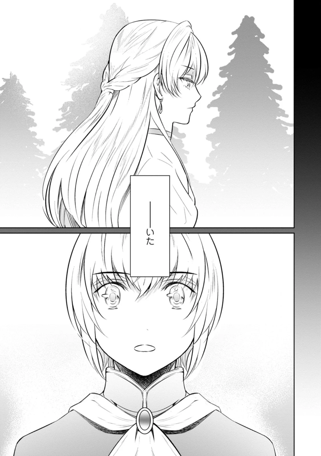 騙され裏切られ処刑された私が……誰を信じられるというのでしょう? 第36.3話 - 5