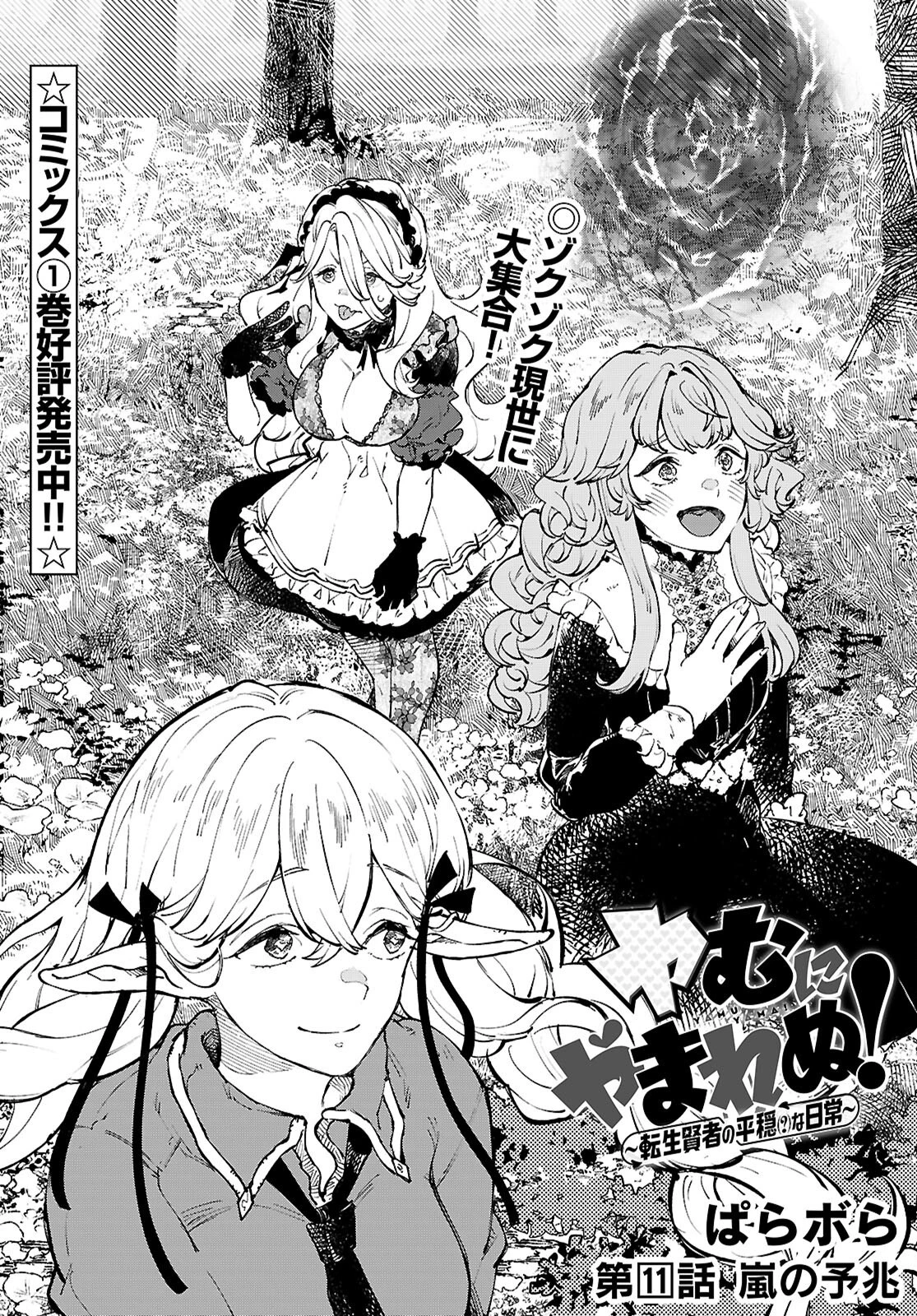ヤむにやまれぬ！～転生賢者の平穏（？）な日常～ 第11話 - 1