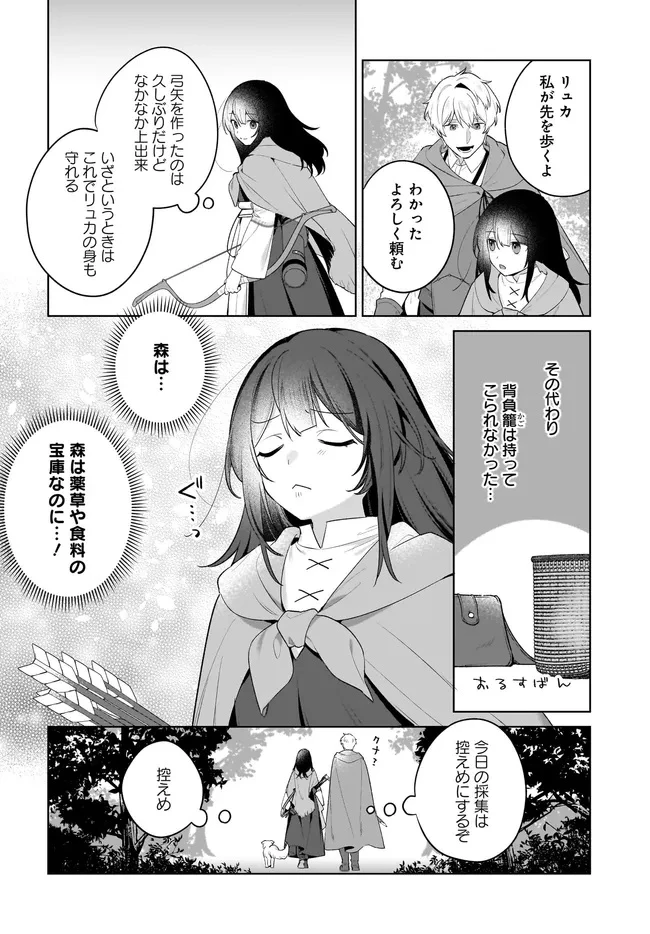 薬売りの聖女 ～冤罪で追放された薬師は、辺境の地で幸せを掴む～ 第10.2話 - 4