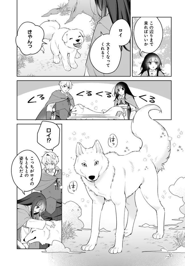 薬売りの聖女 ～冤罪で追放された薬師は、辺境の地で幸せを掴む～ 第10.2話 - 5