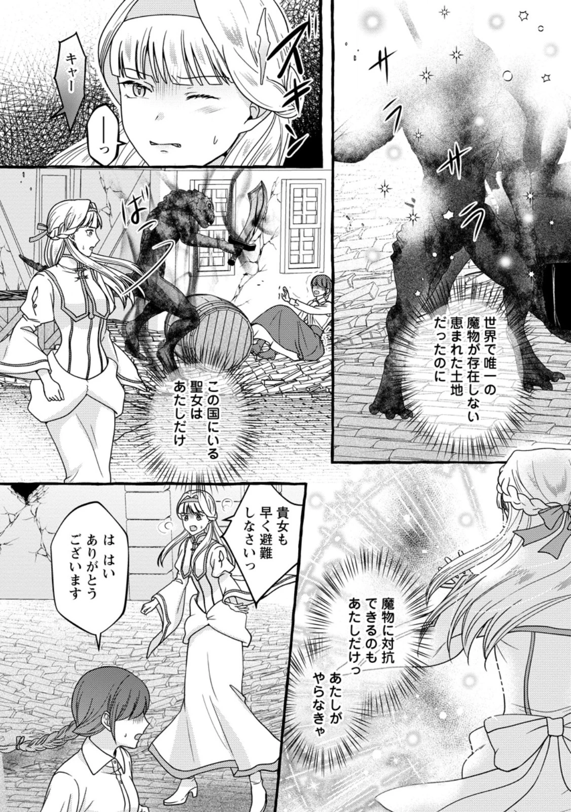 身代わりの落ちこぼれ生贄聖女は敵国王弟に溺愛される ～処刑の日はいつでしょう？ え、なぜこんなに大事にされてるんでしょうか～ 第12.3話 - 5