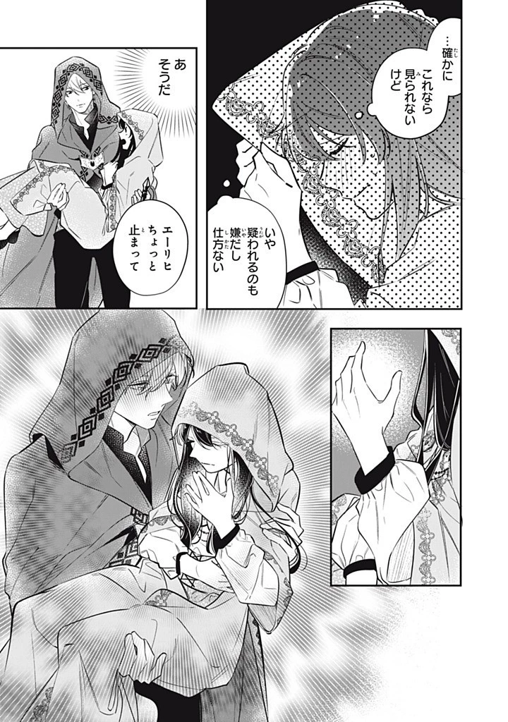 婚約破棄されたので、好きにすることにした。 第15話 - 3