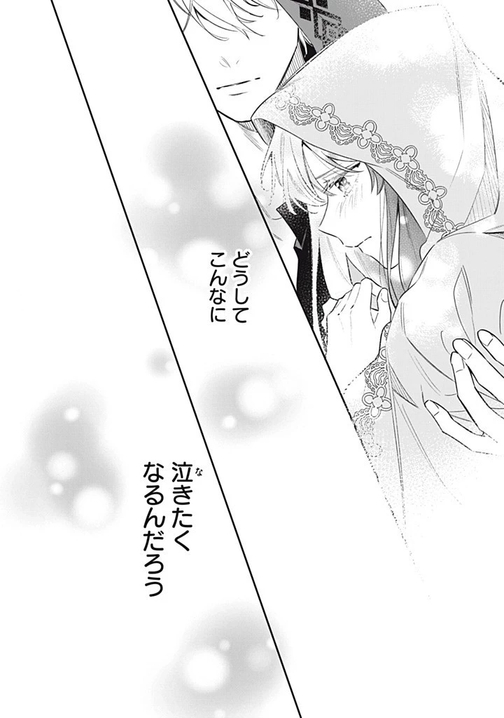 婚約破棄されたので、好きにすることにした。 第15.1話 - 8