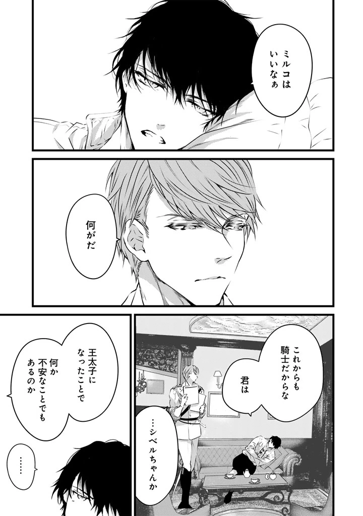 追放された騎士好き聖女は今日も幸せ 真の聖女らしい義妹をいじめたという罪で婚約破棄されたけど、憧れの騎士団の寮で働けることになりました！ 第22話 - 5