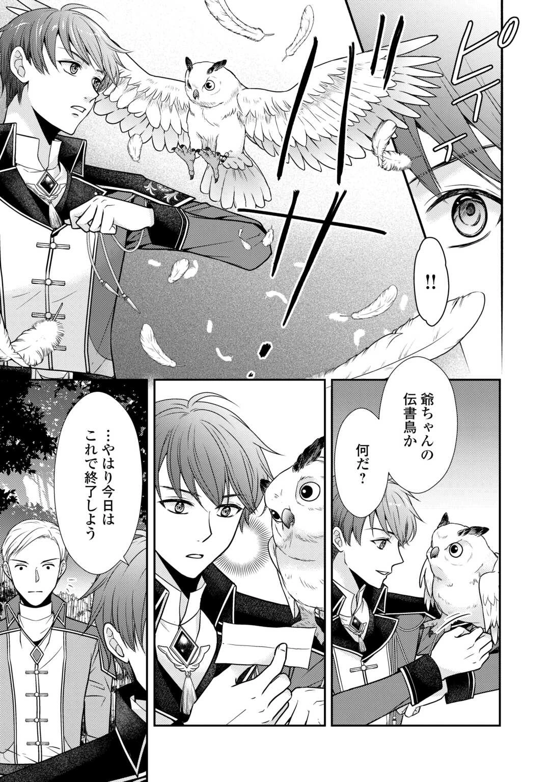 地味薬師令嬢はもう契約更新いたしません。 ～ざまぁ? 没落? 私には関係ないことです～ 第3話 - 16