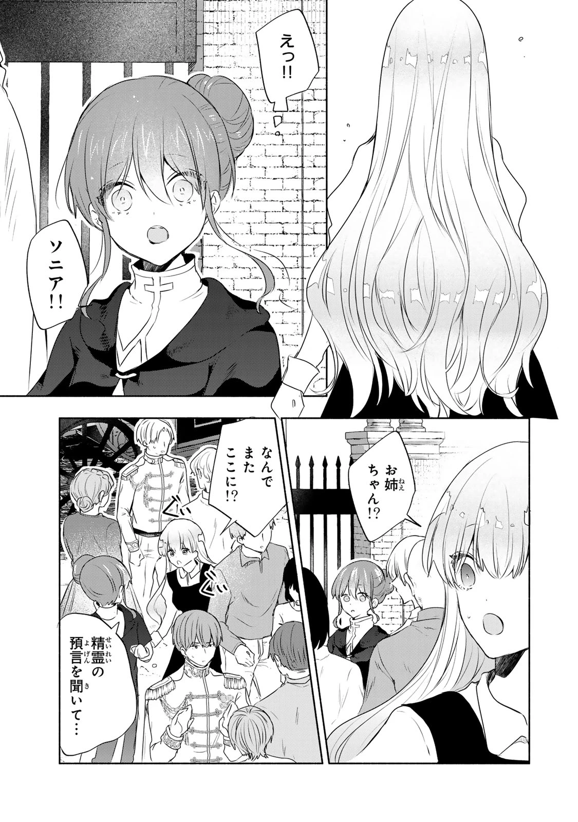 聖女様をお探しでしたら妹で間違いありません。さあどうぞお連れください、今すぐ。 第20.2話 - 1