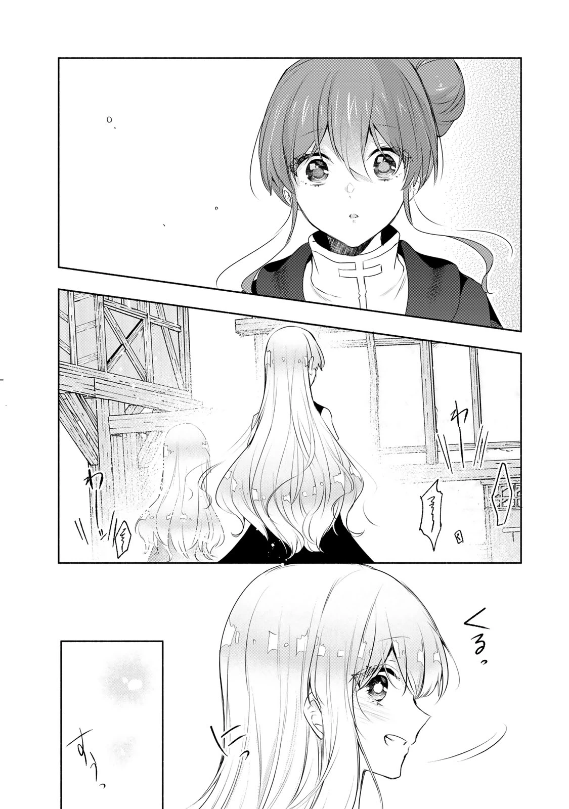 聖女様をお探しでしたら妹で間違いありません。さあどうぞお連れください、今すぐ。 第20.2話 - 5