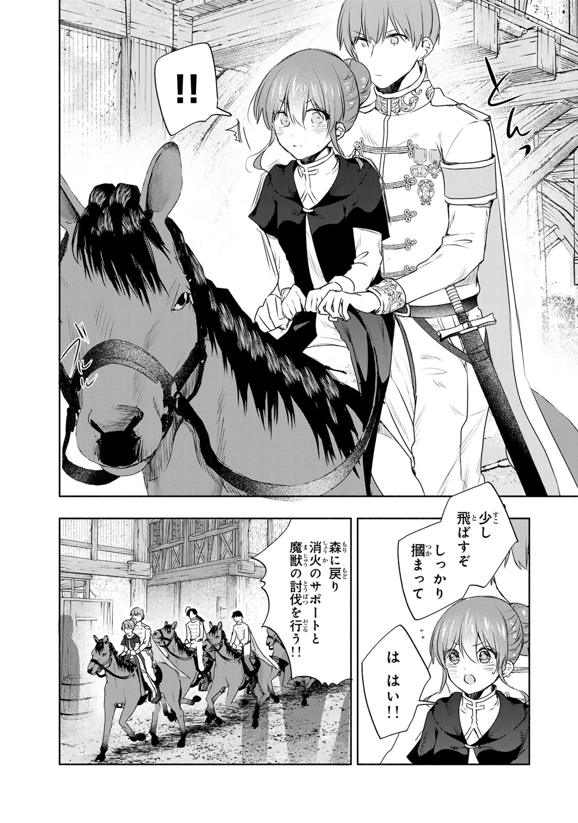 聖女様をお探しでしたら妹で間違いありません。さあどうぞお連れください、今すぐ。 第20.2話 - 11