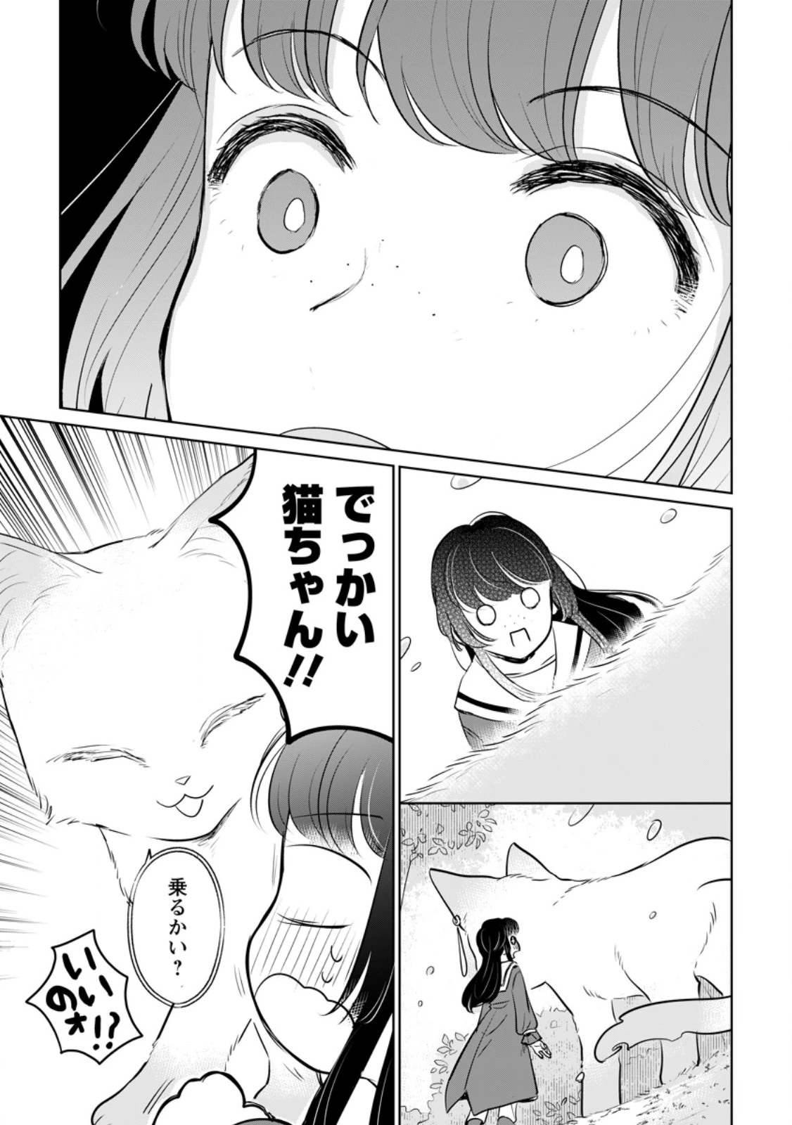 聖女じゃないと追放されたので、もふもふ従者(聖獣)とおにぎりを握る 第43.2話 - 10