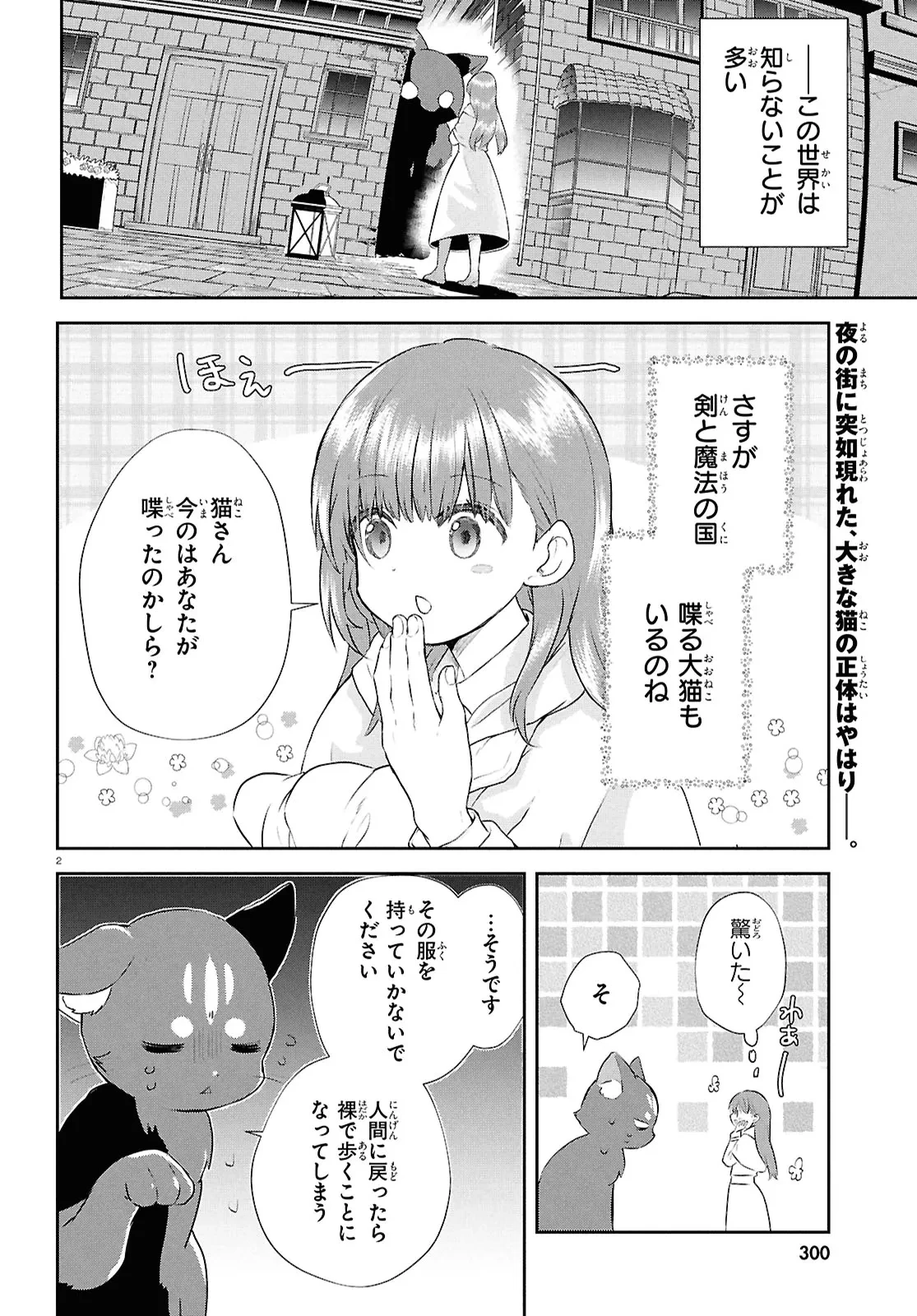 王都の行き止まりカフェ『隠れ家』 ～うっかり魔法使いになった私の店に筆頭文官様がくつろぎに来ます～ 第5話 - 2